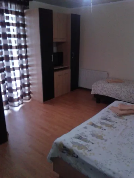 Cazare Borsa - Pensiunea Dorin - Judetul Maramures