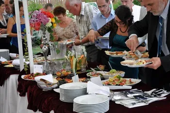 Cazare Ogra - Hotel Castel Haller - Judetul Mures