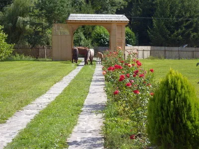 Cazare Parau Satu Mare - Pensiunea Simon Csilla I. - Judetul Harghita