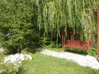 Cazare Parau Satu Mare - Pensiunea Simon Csilla I. - Judetul Harghita