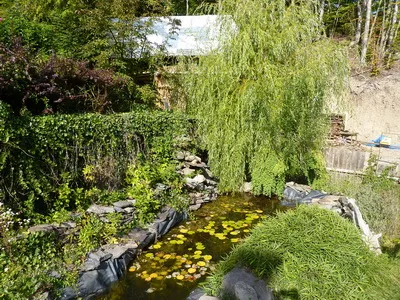 Cazare Parau Satu Mare - Pensiunea Bancs Erno I - Judetul Harghita