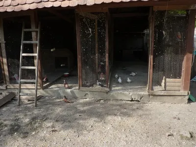 Cazare Parau Satu Mare - Pensiunea Bancs Erno I - Judetul Harghita