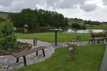 Cazare Rupea - Hotel Dumbrava - Judetul Brasov