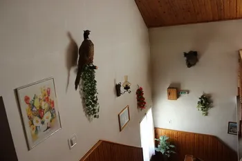 Cazare Sighisoara - Hotel Poenita - Judetul Mures