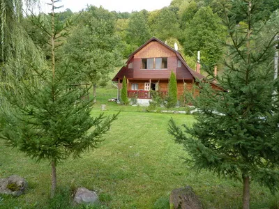 Cazare Sub Cetate - Pensiunea Bodrogi Zoltan