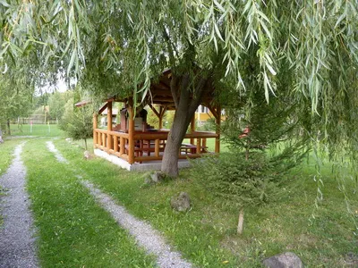 Cazare Sub Cetate - Pensiunea Bodrogi Zoltan