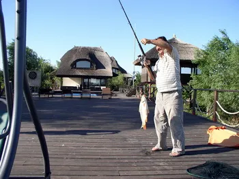 Cazare Delta Dunarii - Loc. Vulturu - Pensiunea Aqua Villa