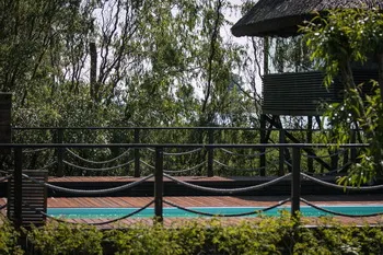 Cazare Delta Dunarii - Loc. Vulturu - Pensiunea Aqua Villa