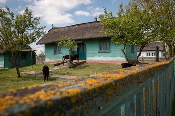 Cazare Delta Dunarii - Loc. Vulturu - Pensiunea Aqua Villa