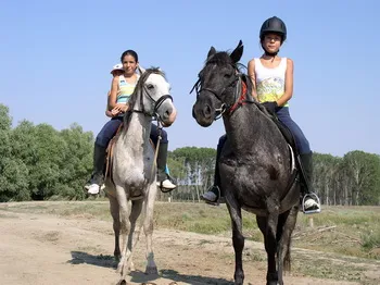 Cazare Delta Dunarii - Loc. Vulturu - Pensiunea Aqua Villa