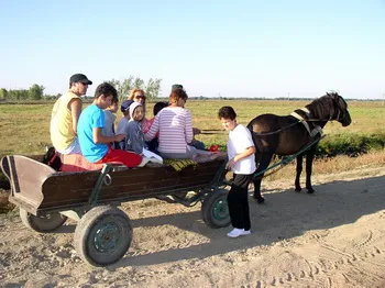 Cazare Delta Dunarii - Loc. Vulturu - Pensiunea Aqua Villa