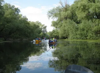 Cazare Delta Dunarii - Loc. Vulturu - Pensiunea Aqua Villa