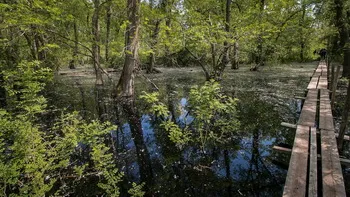 Cazare Delta Dunarii - Loc. Vulturu - Pensiunea Aqua Villa