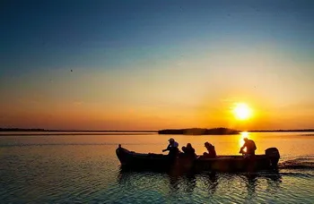 Cazare Delta Dunarii - Loc. Vulturu - Pensiunea Aqua Villa