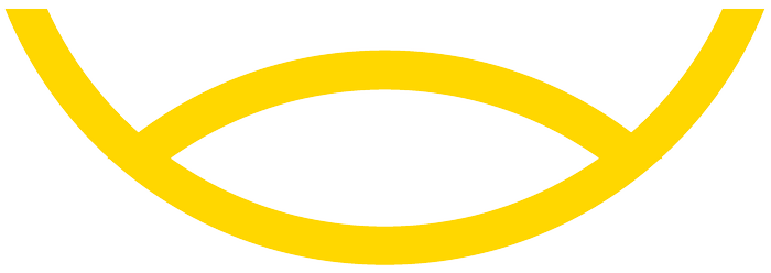 Cazare Transilvania Logo